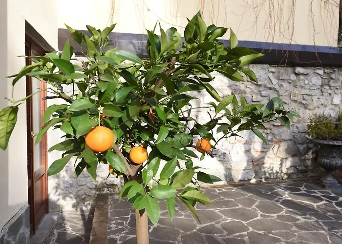 Relais La Corte Di Cloris Πανσιόν